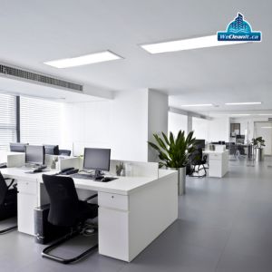 The Importance of Disinfection Services for Toronto Offices